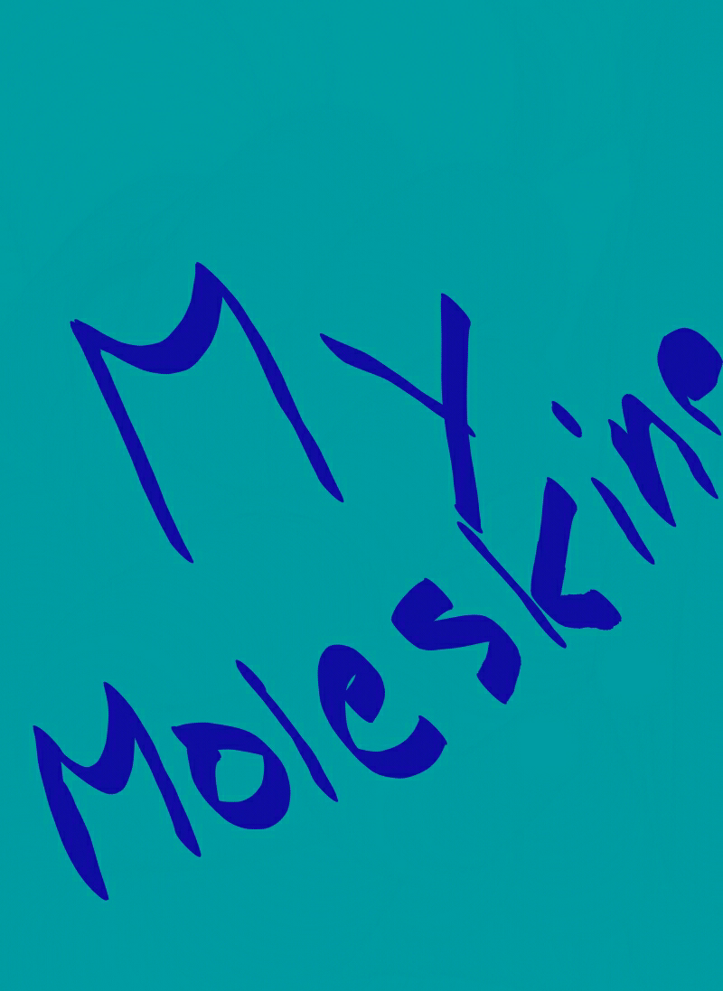 MY MOLESKINE