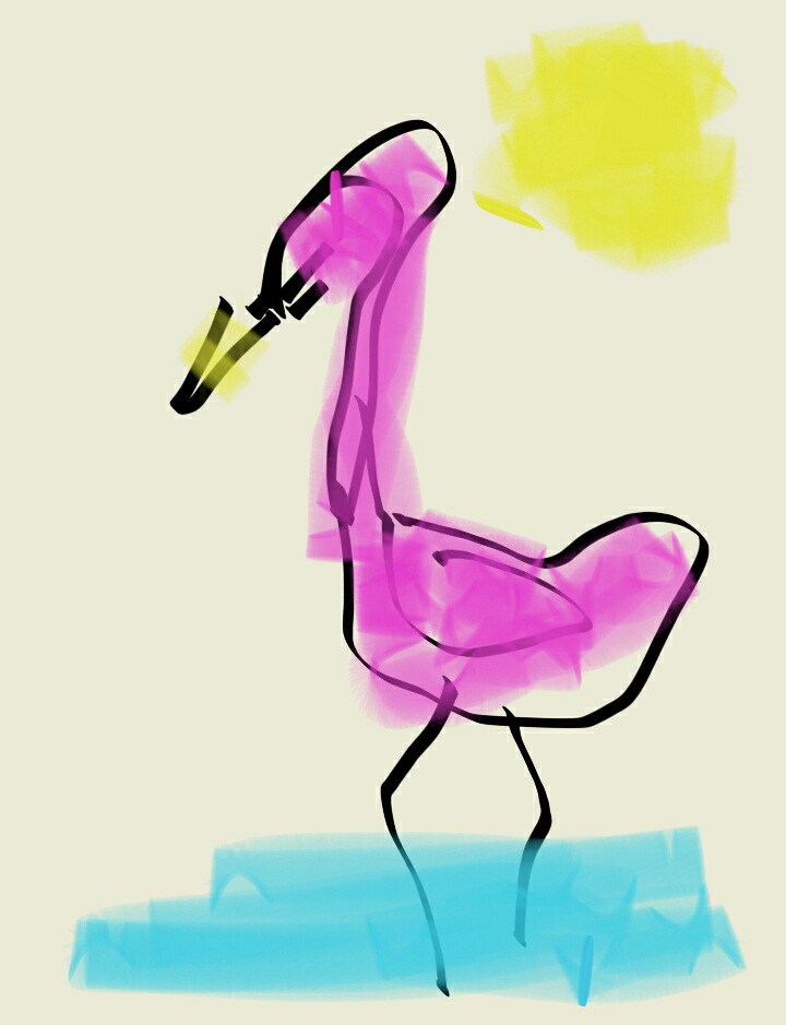 flamingo