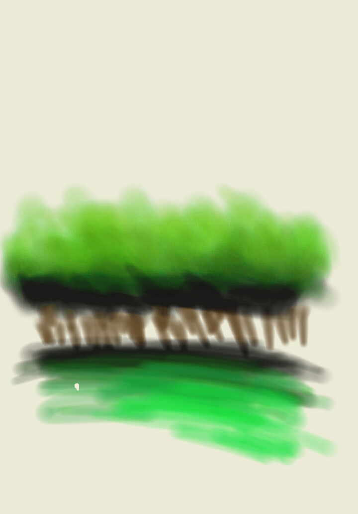 Bosque e busque