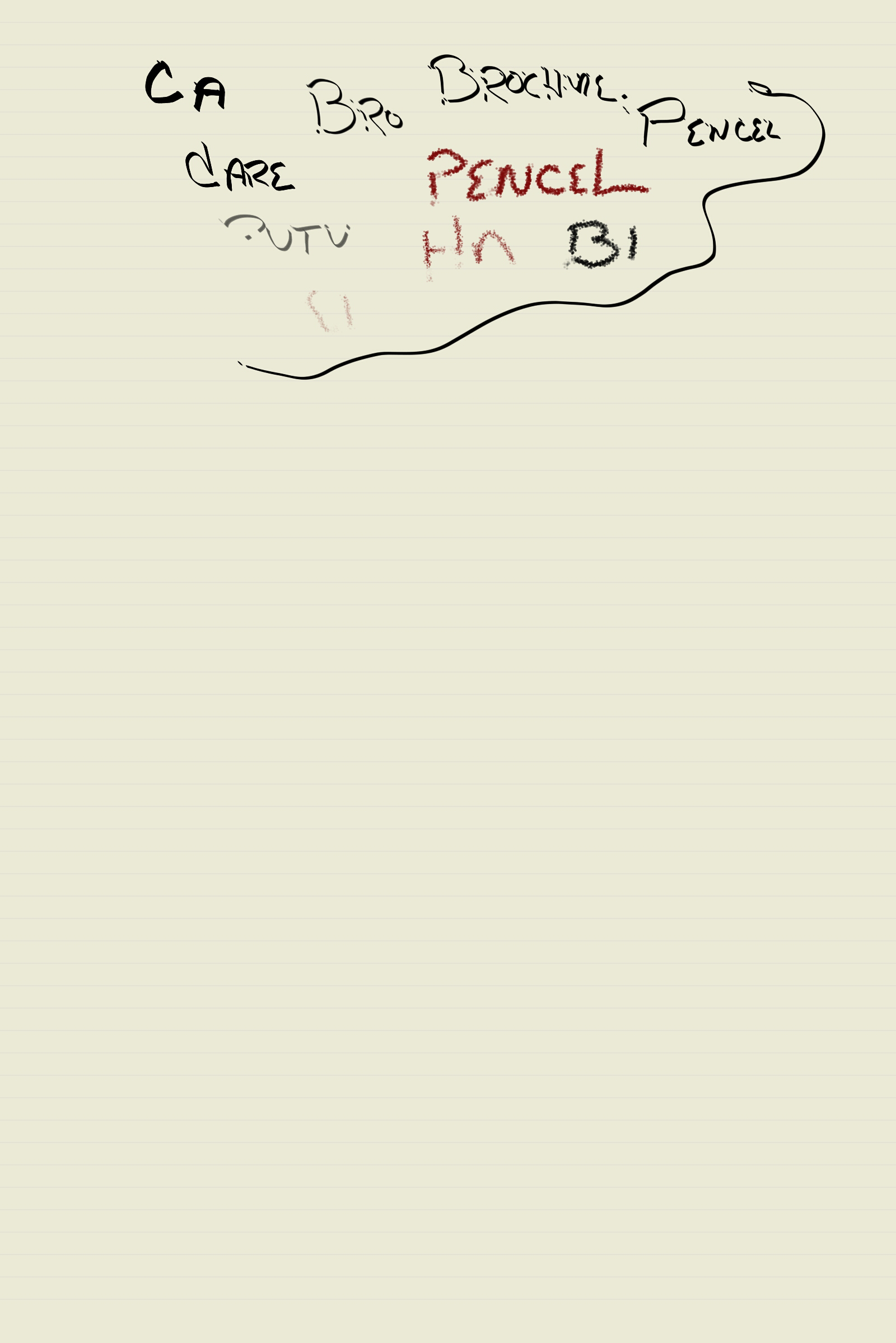moleskine