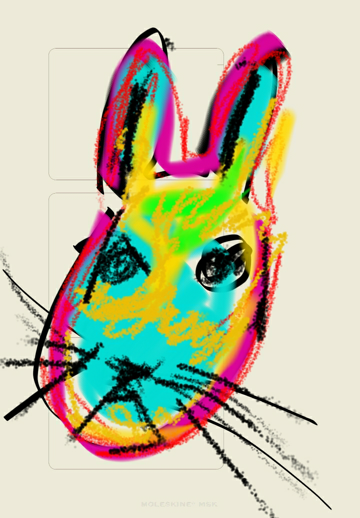 rabbit