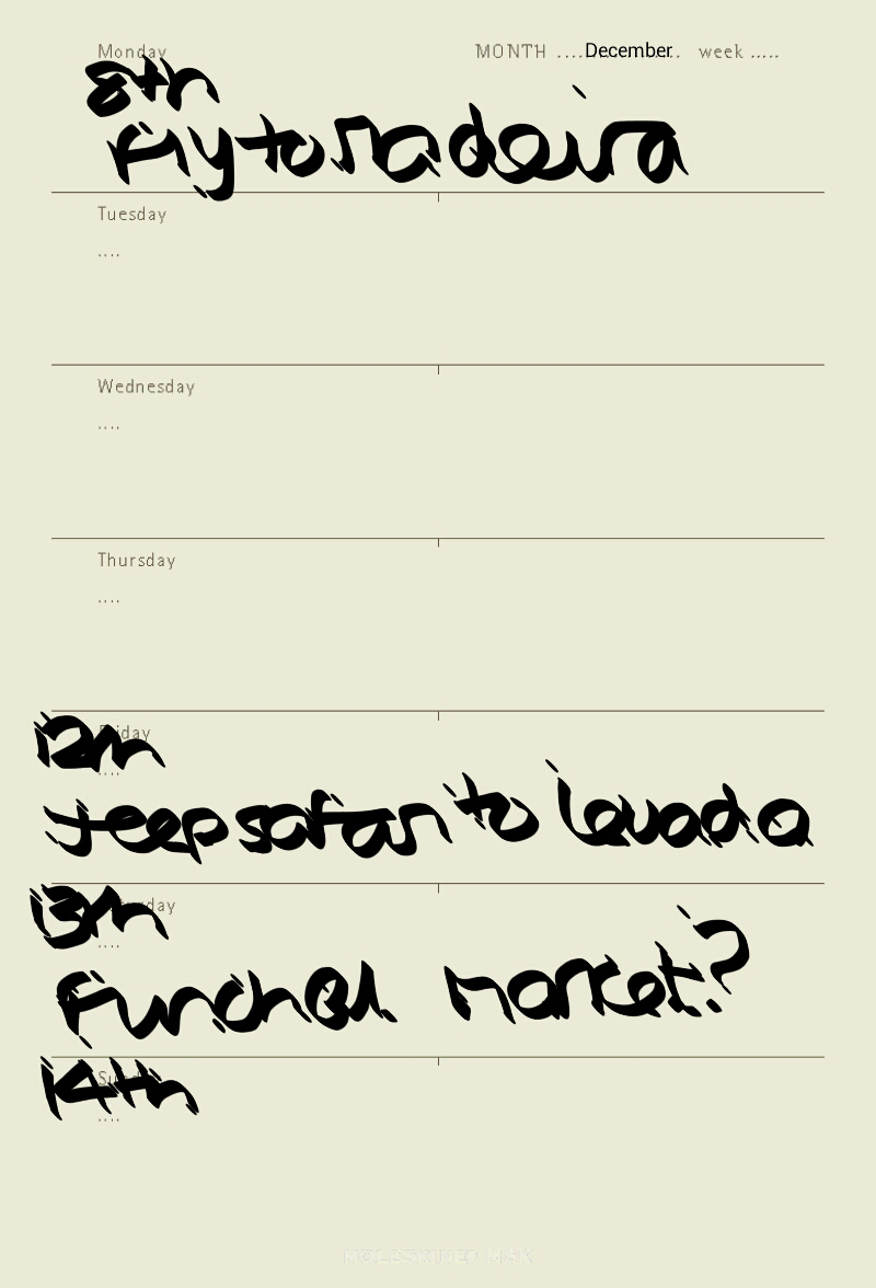 diary