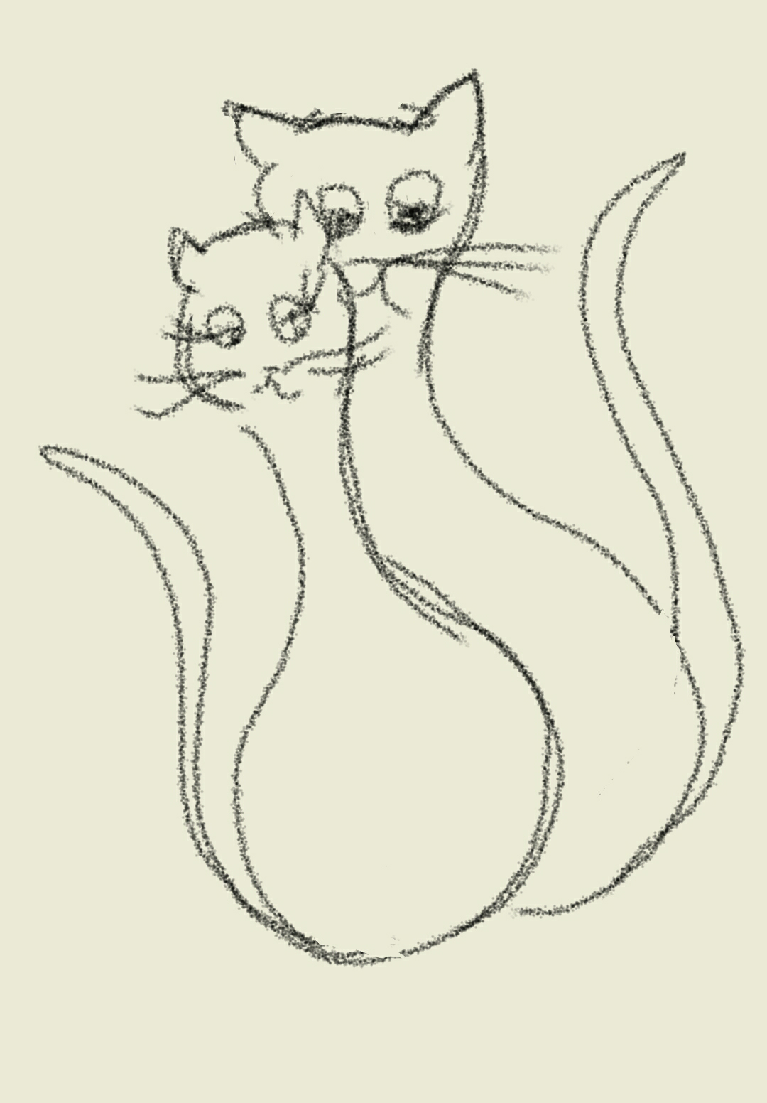 my Cats