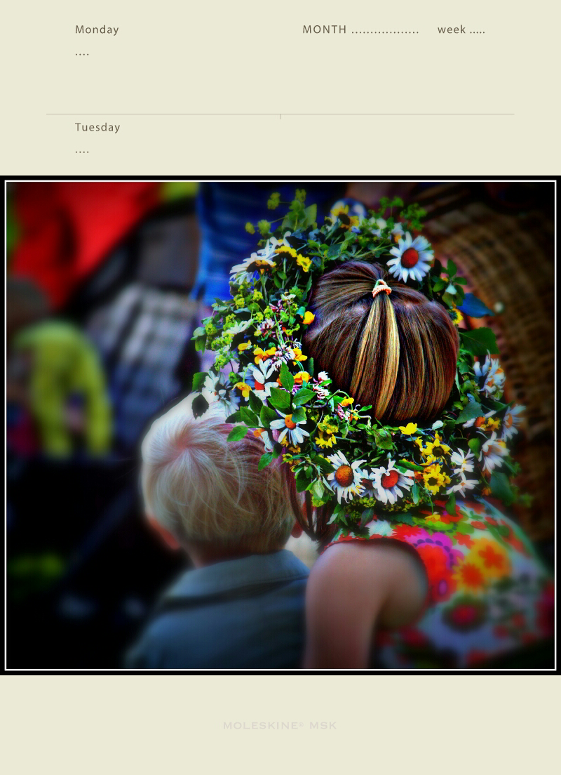 P孩nnelse 15/06/19: Midsommarafton