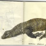 Komodo dragon