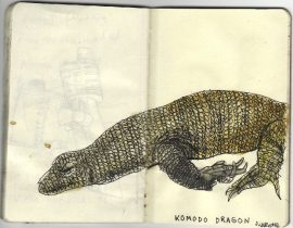 Komodo dragon