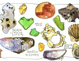 beach combing