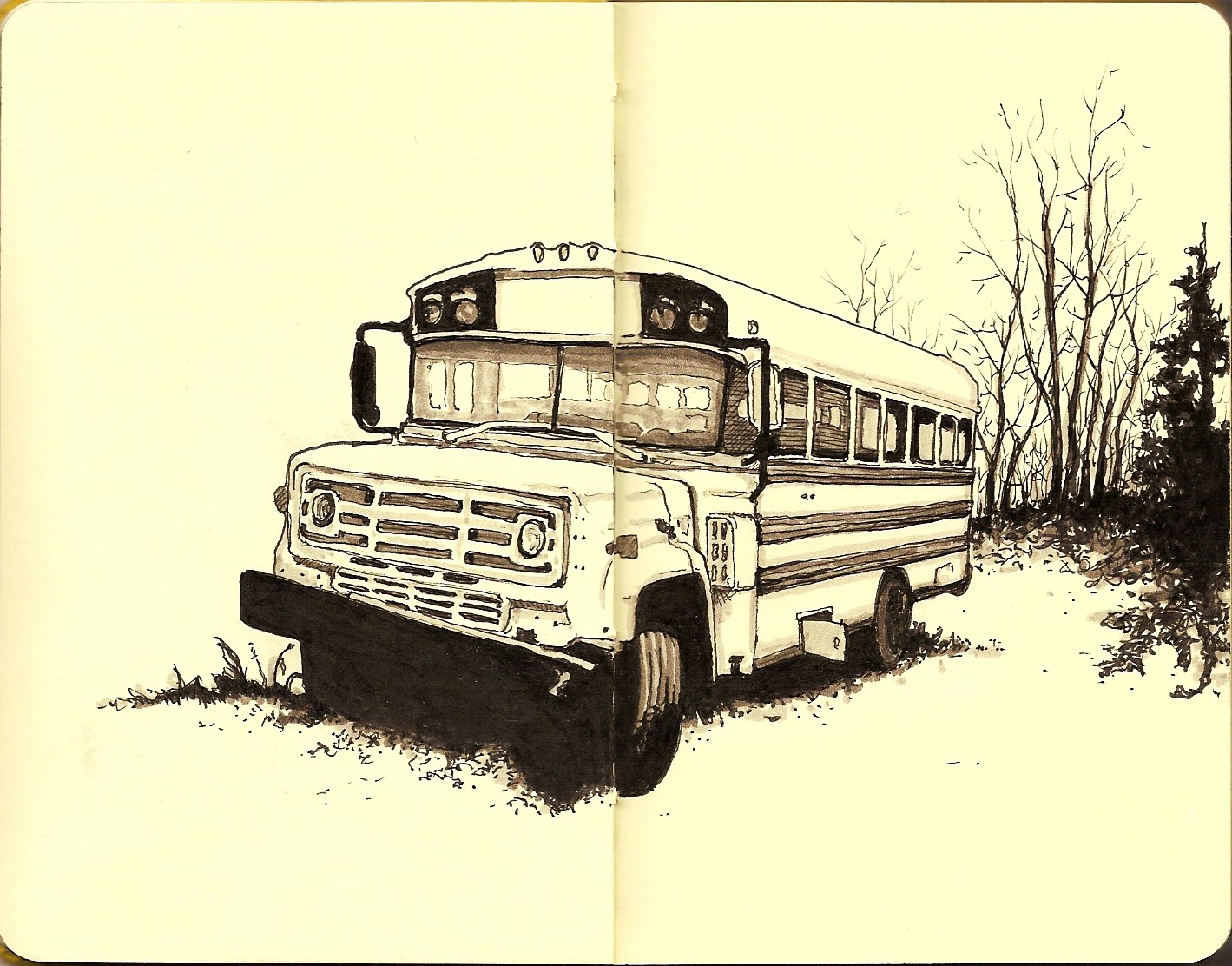 bus