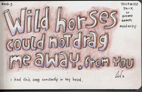 Wild horses