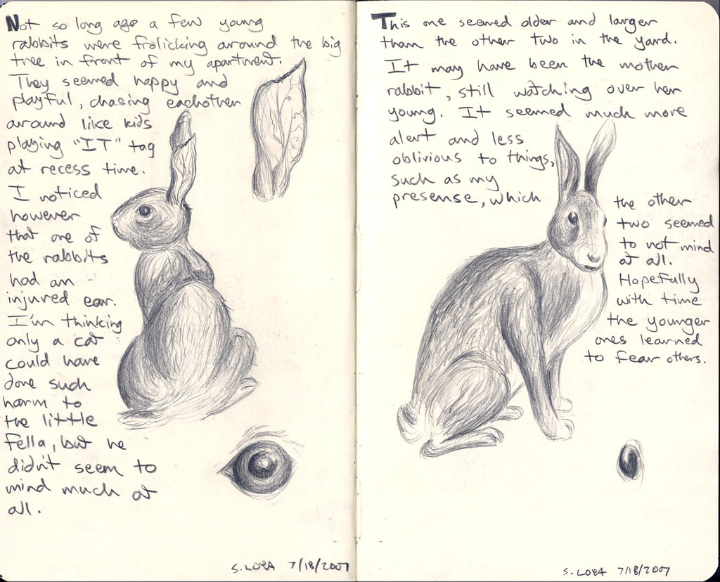 wabbit sketches