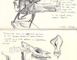 Carnegie Museum sketches