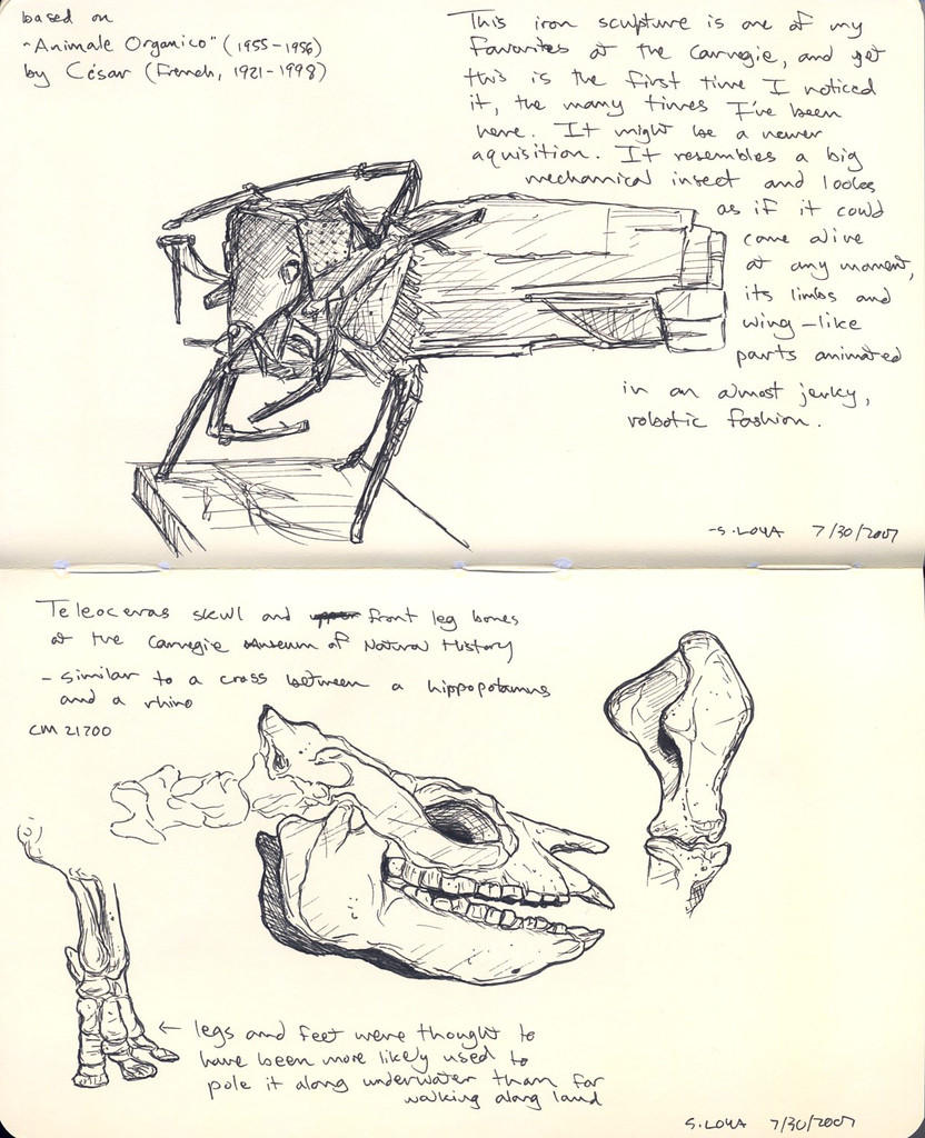 Carnegie Museum sketches