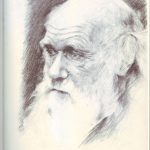 darwin