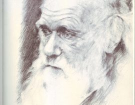 darwin