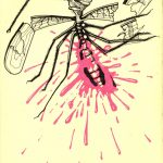 Mosquito