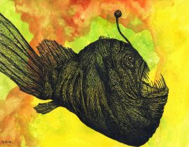 humpback anglerfish