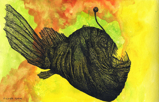 humpback anglerfish