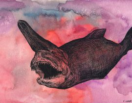 goblin shark