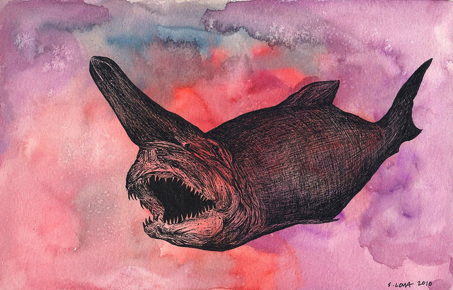 goblin shark