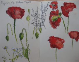 Poppies