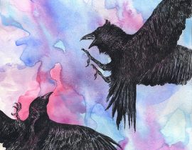 “crow and raven”