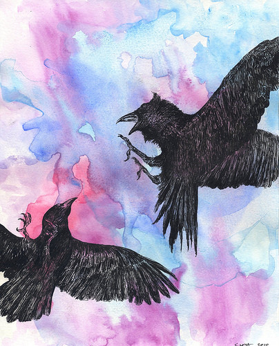 “crow and raven”