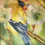 Goldfinch