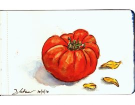 Tomato