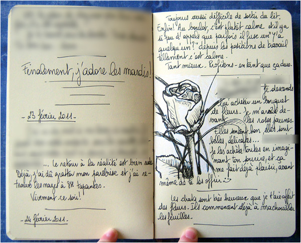 Mon journal