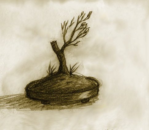 Bonsai