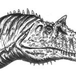 Ceratosaurus nasicornis