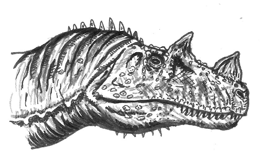 Ceratosaurus nasicornis