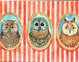 Owls