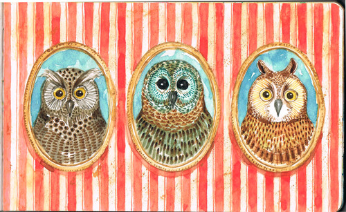 Owls