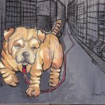 Shar pei en la ciudad