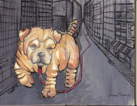 Shar pei en la ciudad