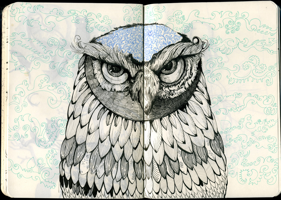 owl