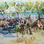 Bear Cut Mangroves