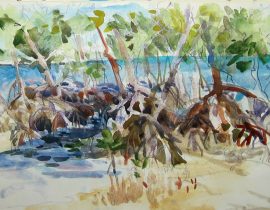 Bear Cut Mangroves