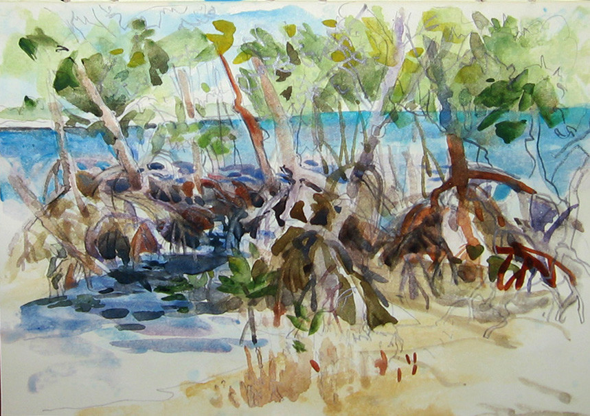 Bear Cut Mangroves