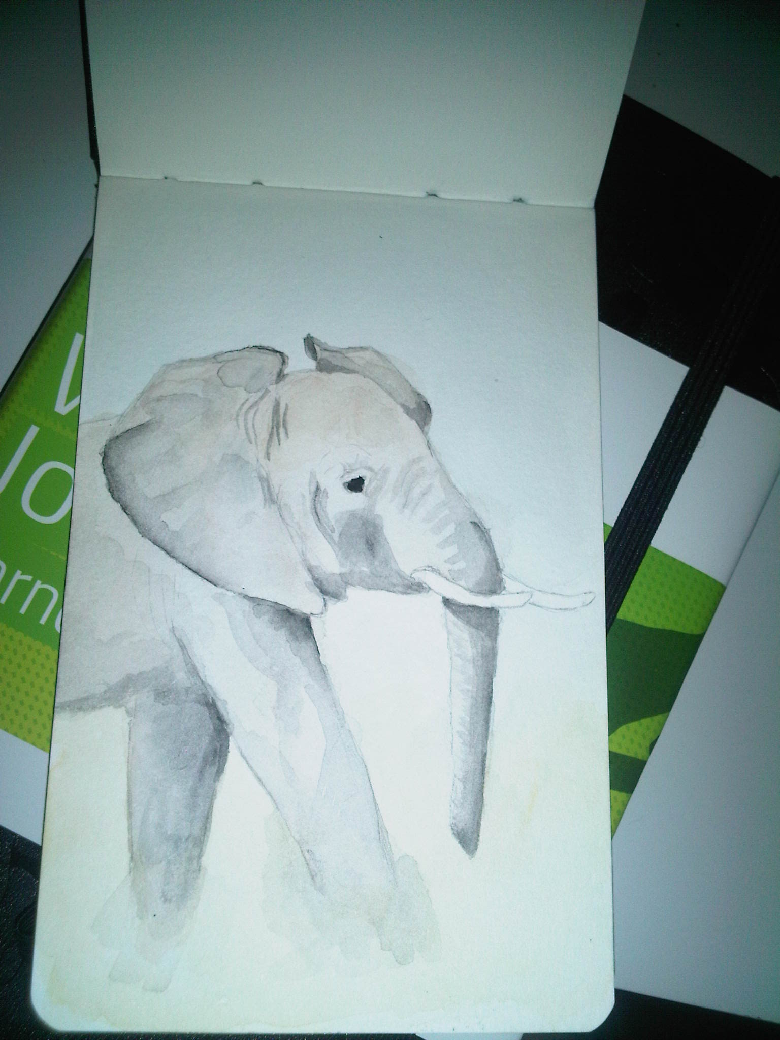 My Elephant