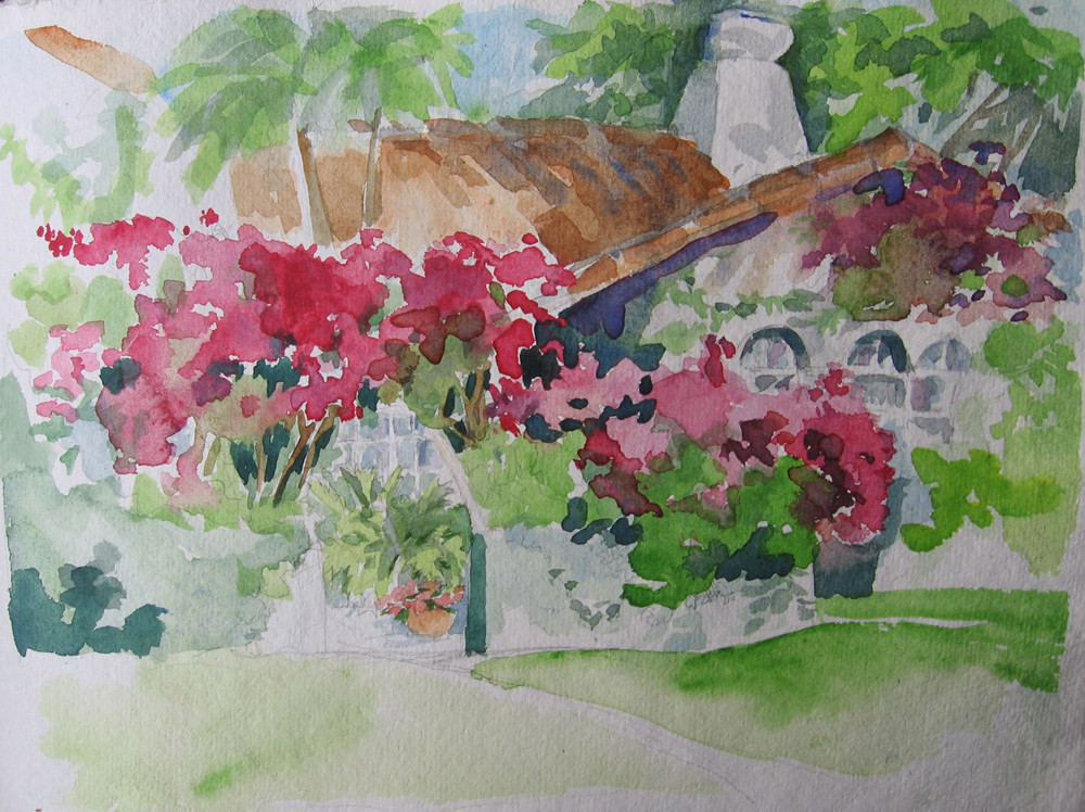 Bougainville Splendor