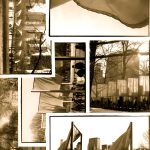 Flags in the Park