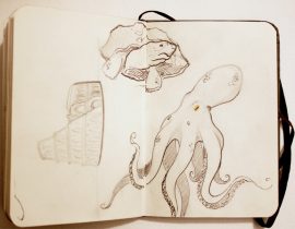 Octopus