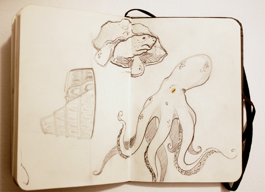 Octopus