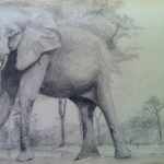 Elephant at wilderness