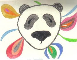 panda bear