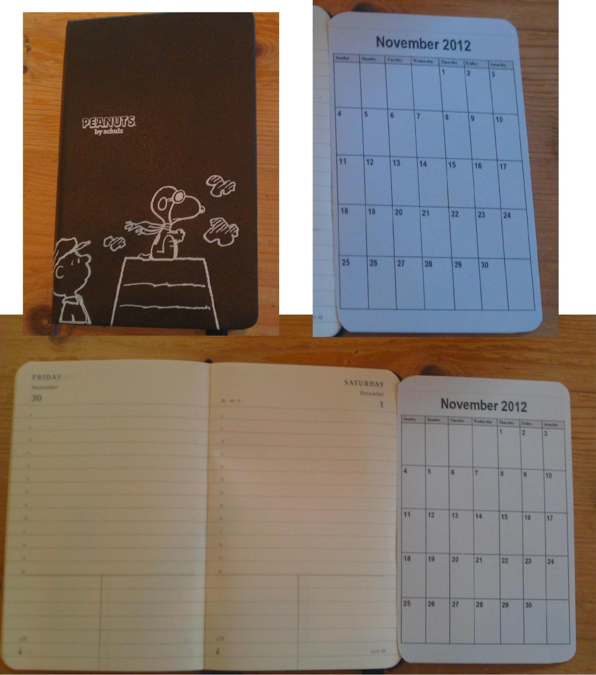 Monthly planner for diary