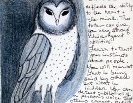 The Night Eagle, Owl