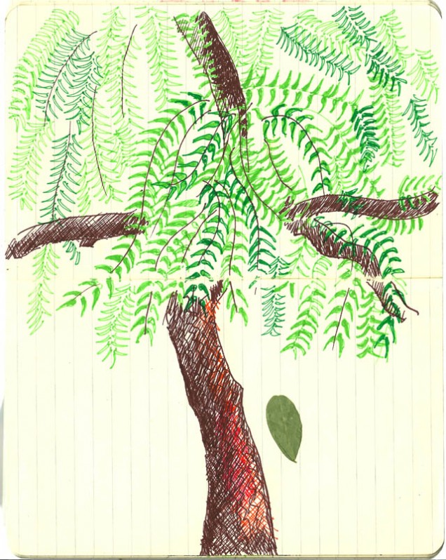 How to Draw a Neem Tree